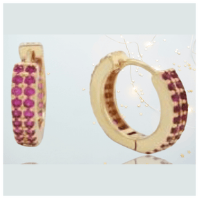 Stella Hypoallergenic Earrings 18 K Gold Plated