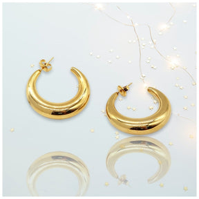 Stella Hypoallergenic Earrings 18 K Gold Plated